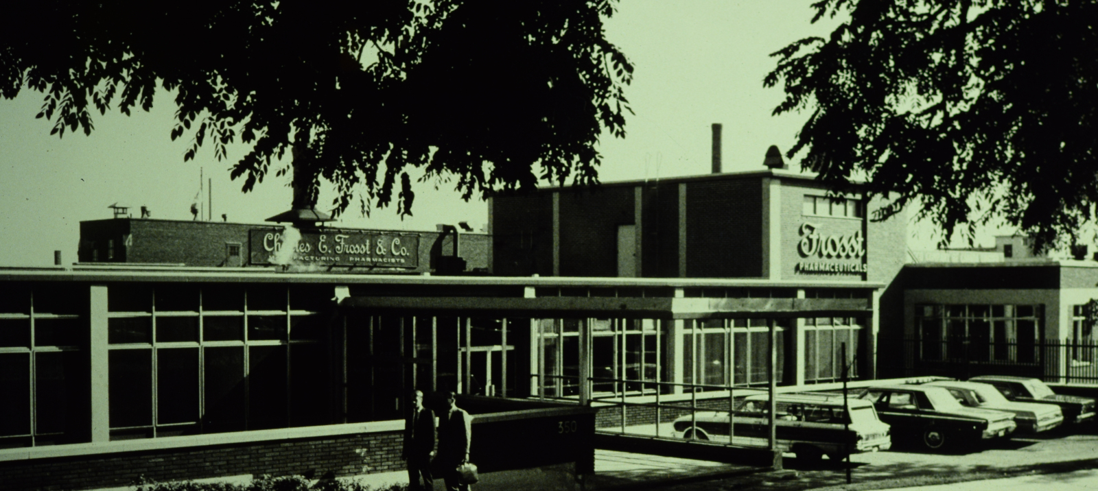 Featured banner image